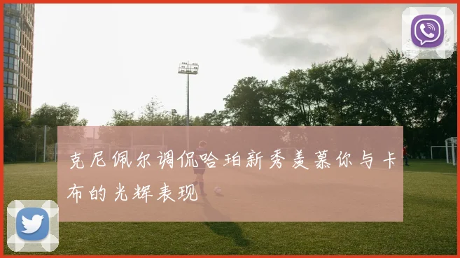 克尼佩尔调侃哈珀新秀羡慕你与卡布的光辉表现