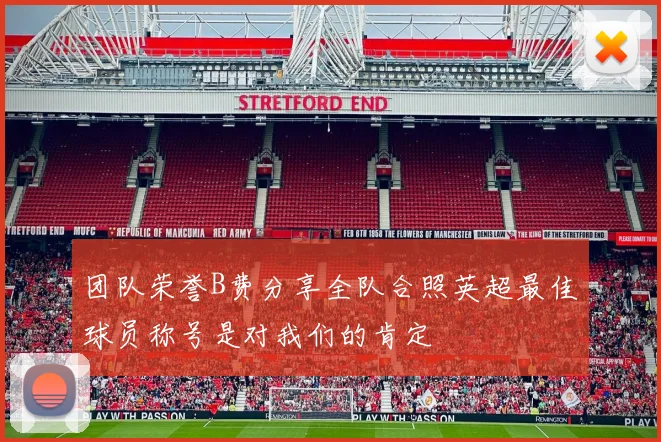 团队荣誉B费分享全队合照英超最佳球员称号是对我们的肯定