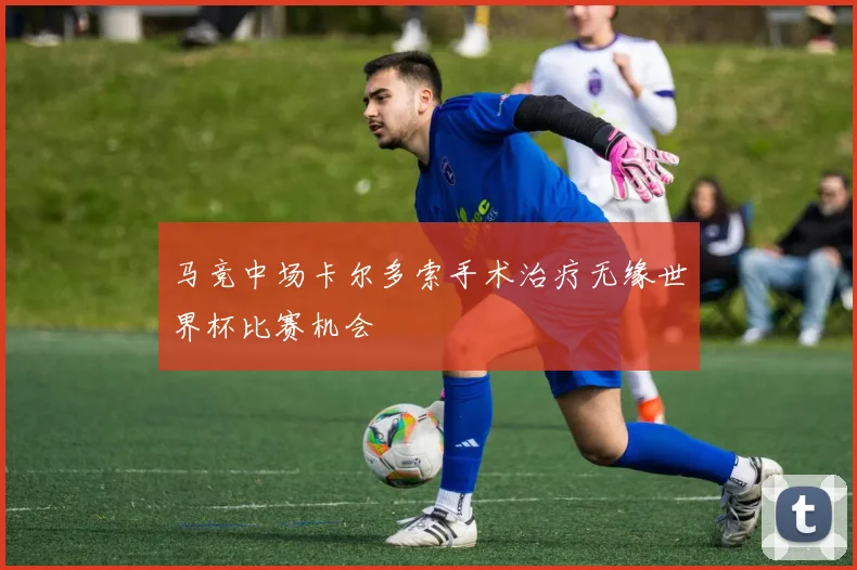 马竞中场卡尔多索手术治疗无缘世界杯比赛机会