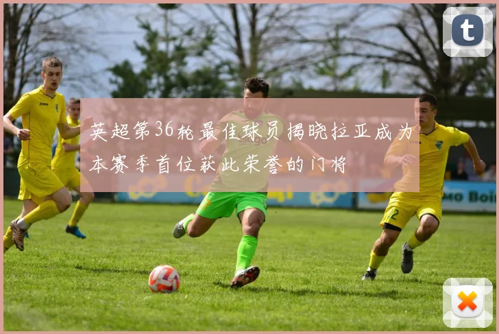 英超第36轮最佳球员揭晓拉亚成为本赛季首位获此荣誉的门将
